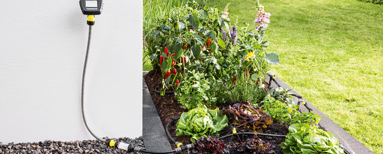 Automatické zavlažování